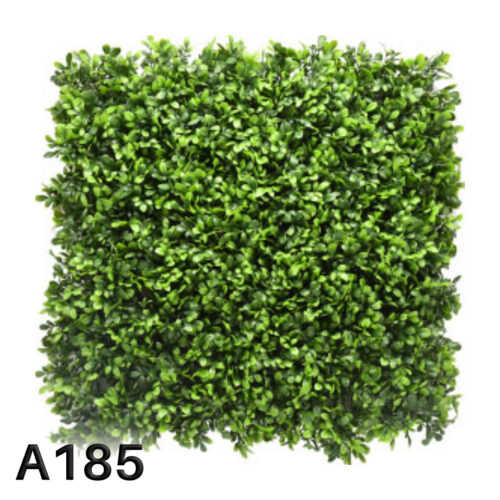 A185
